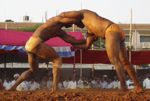 [IMAGE:https://www.meetfighters.com/Content/images/help/Davangere_Wrestlers.jpg]